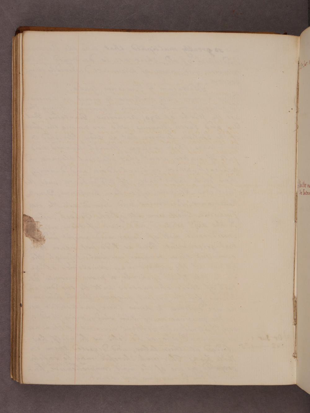 Folio 84 verso