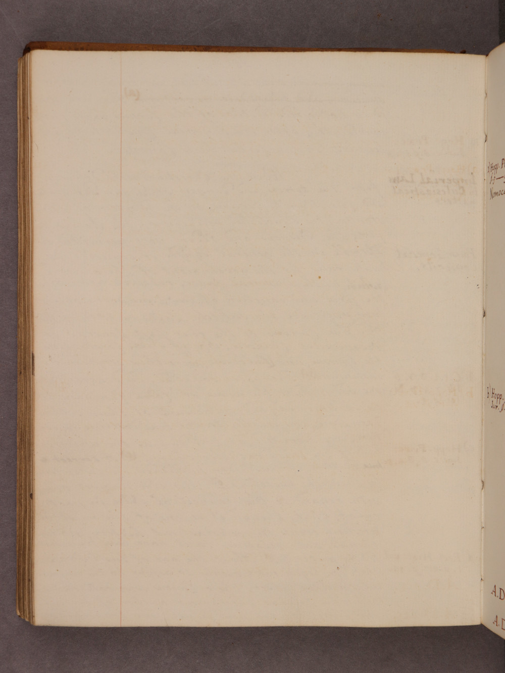 Folio 88 verso