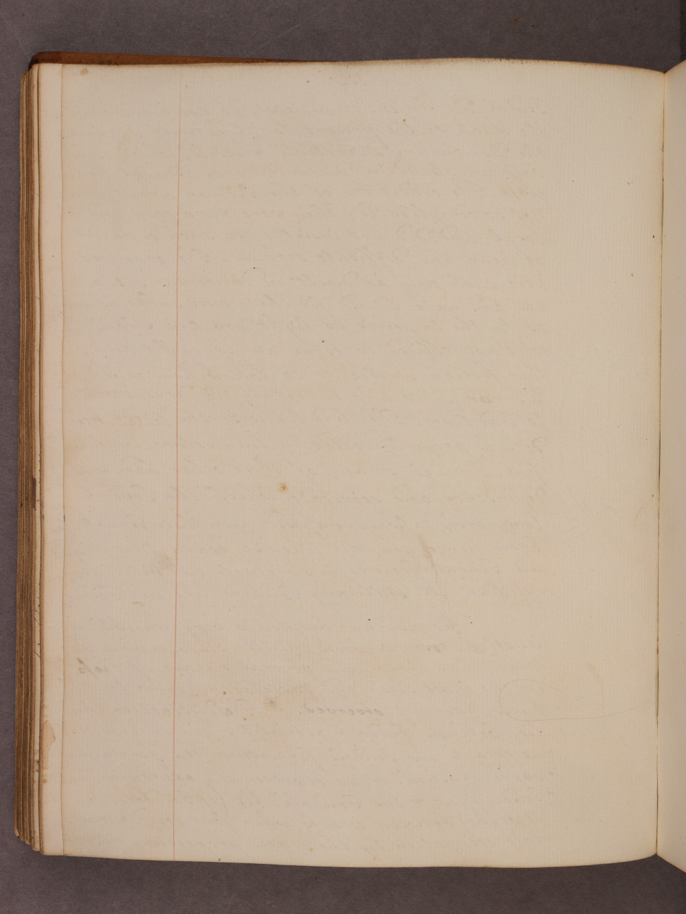Folio 102 verso