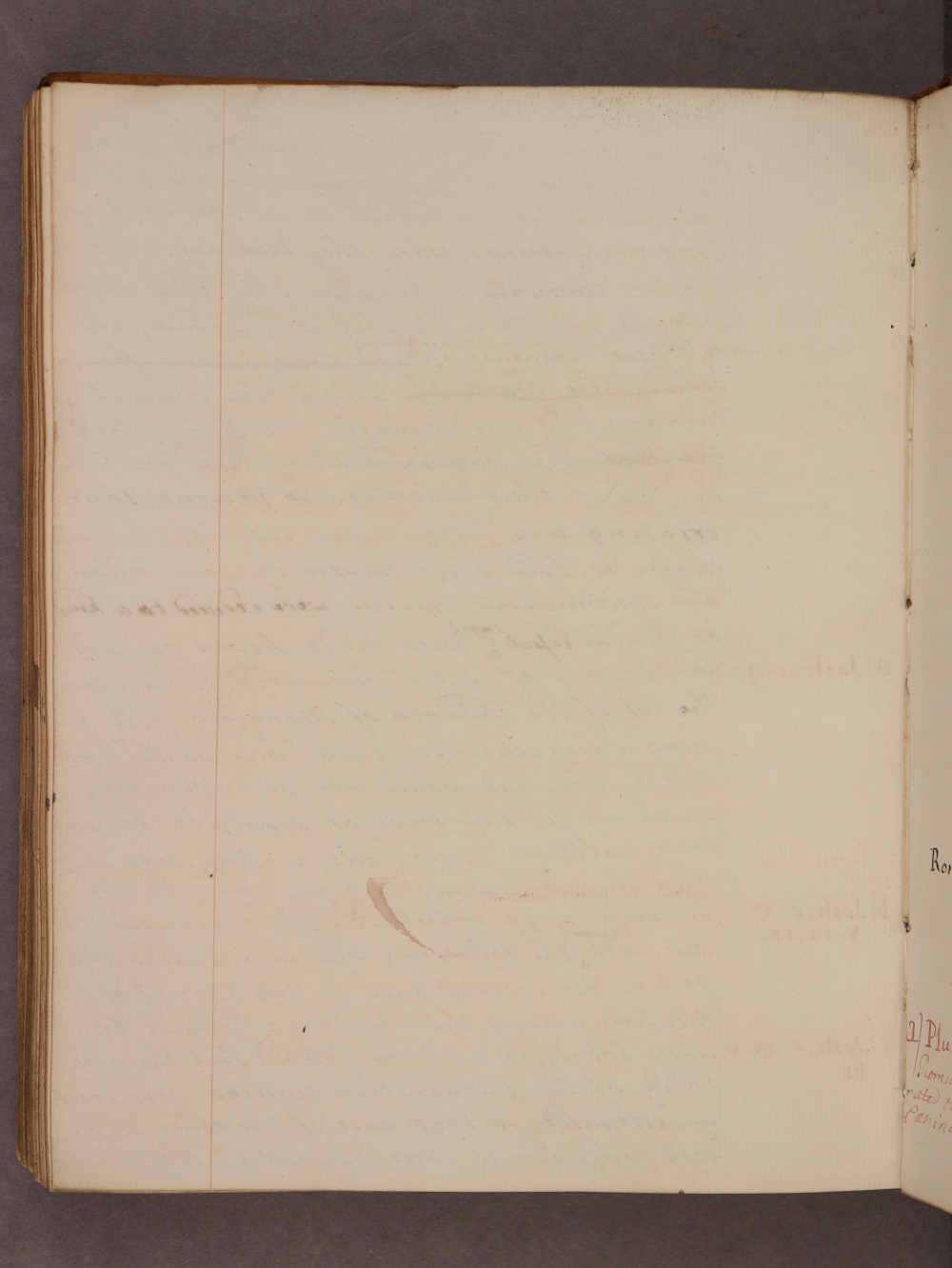 Folio 115 verso