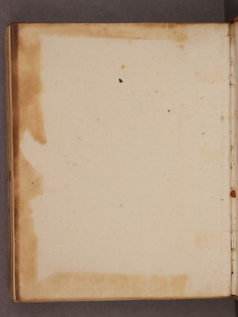 Folio 134 verso