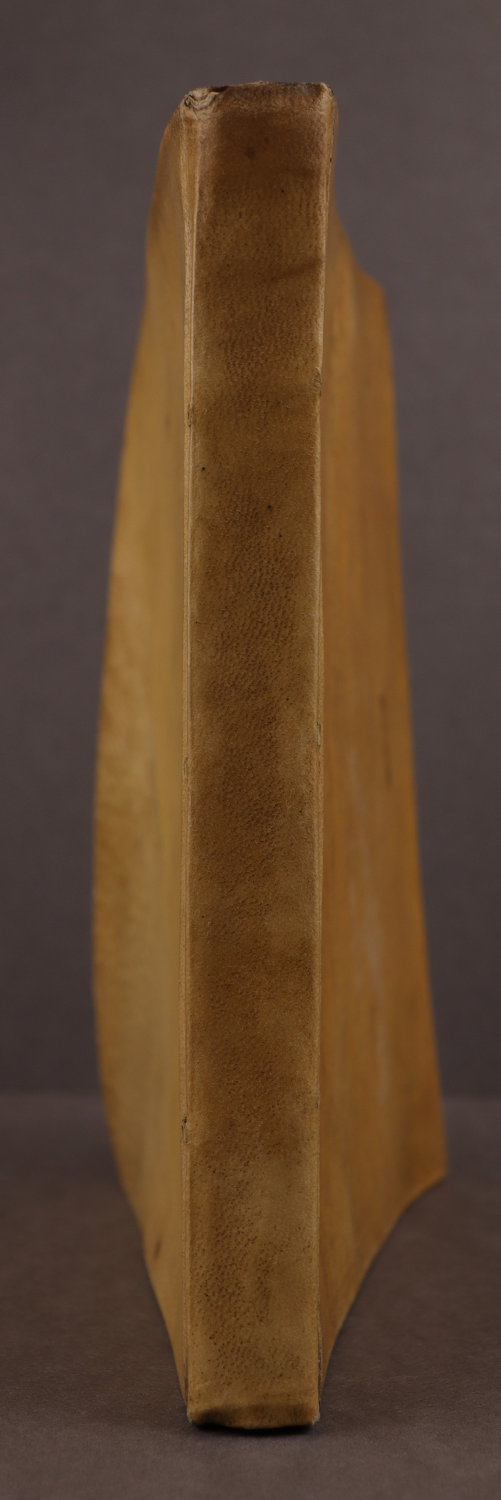 Spine