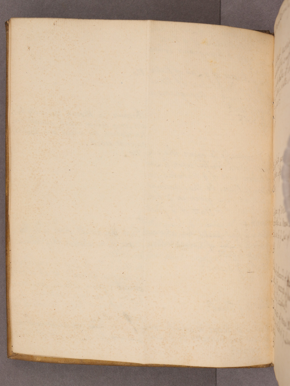 Folio 3 verso