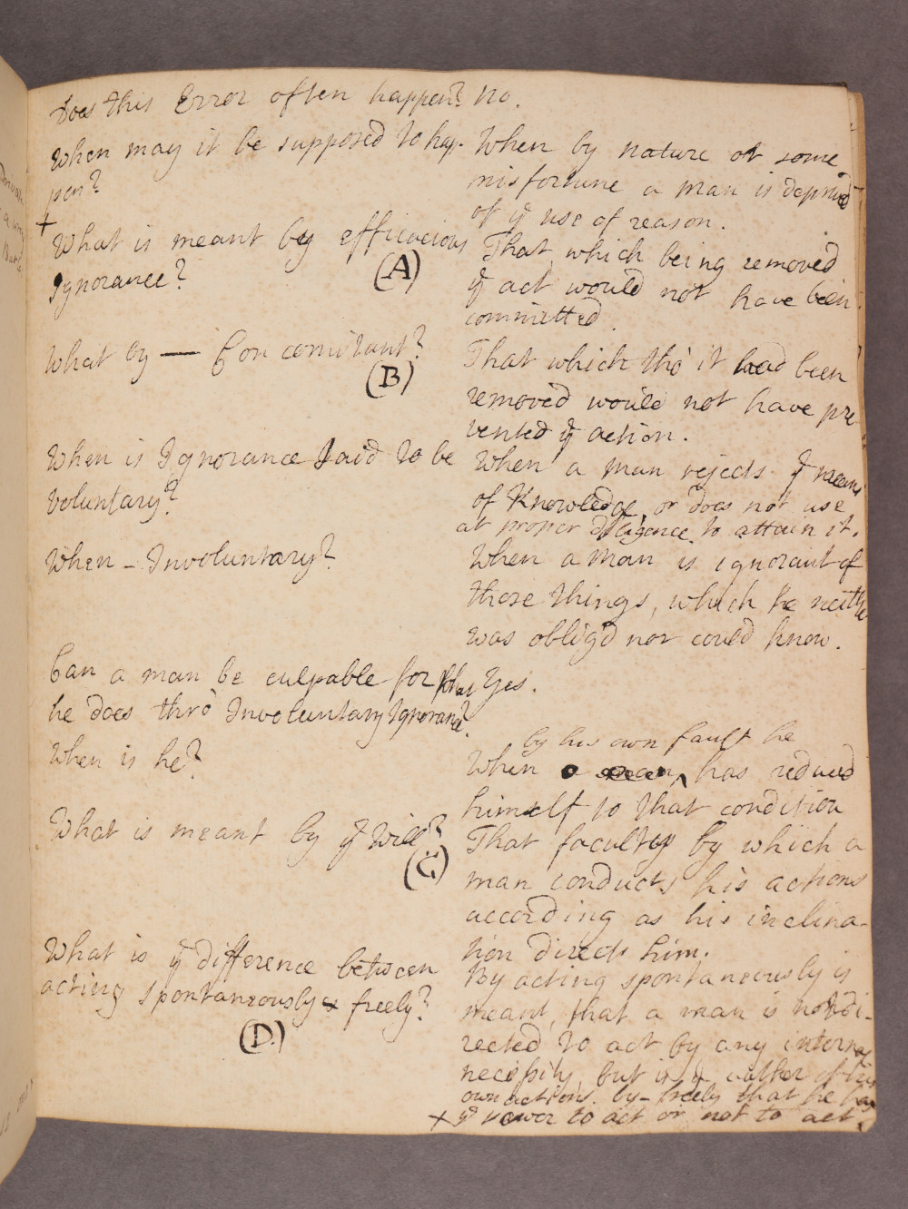 Folio 8 recto