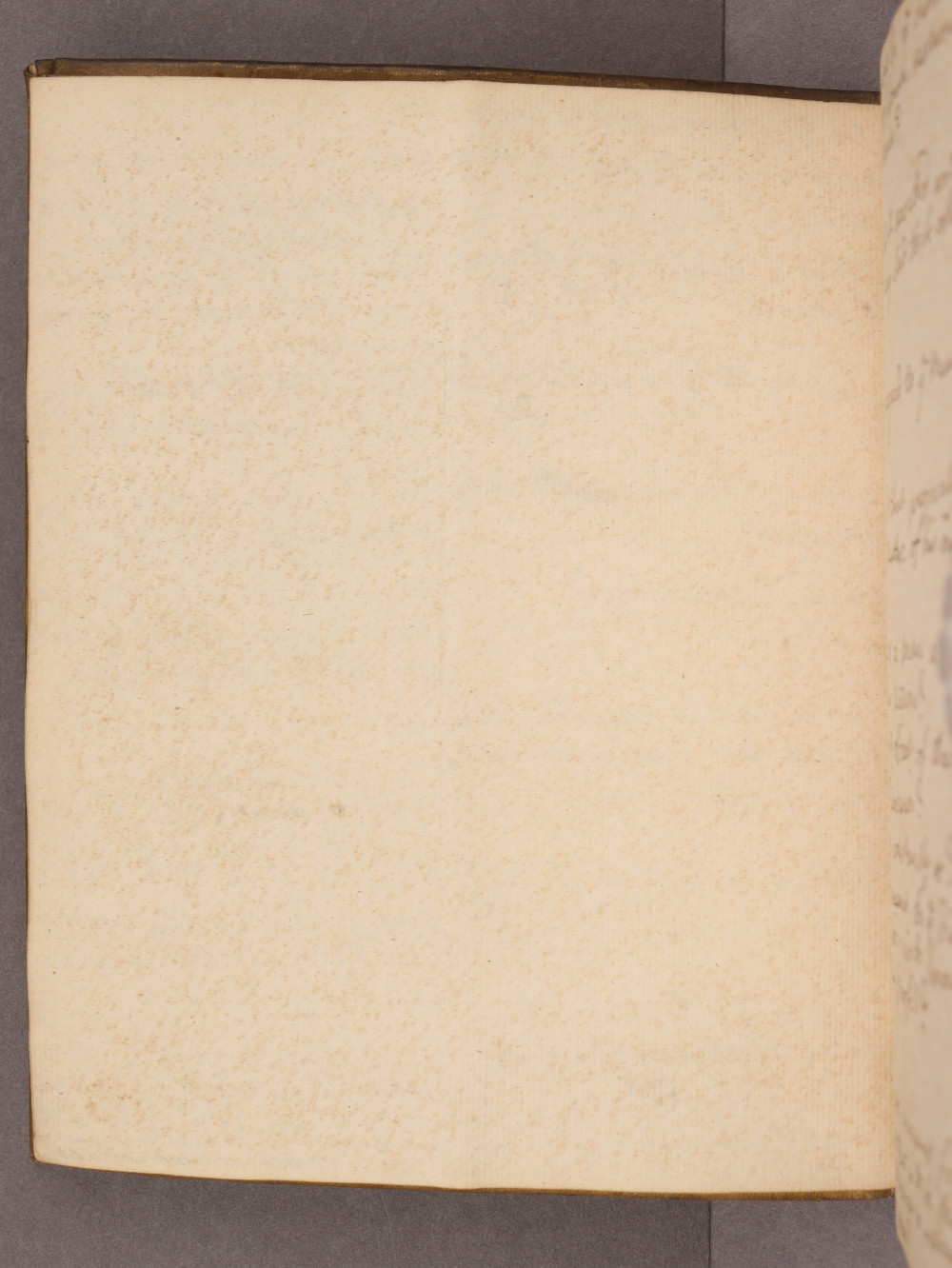 Folio 8 verso