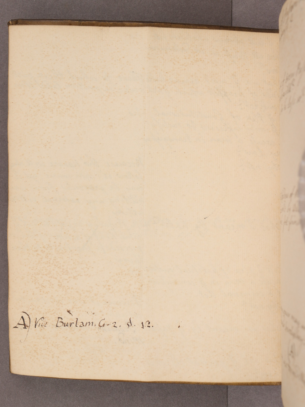 Folio 10 verso