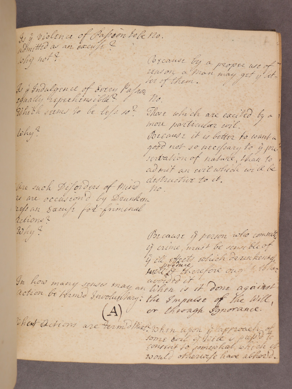 Folio 11 recto