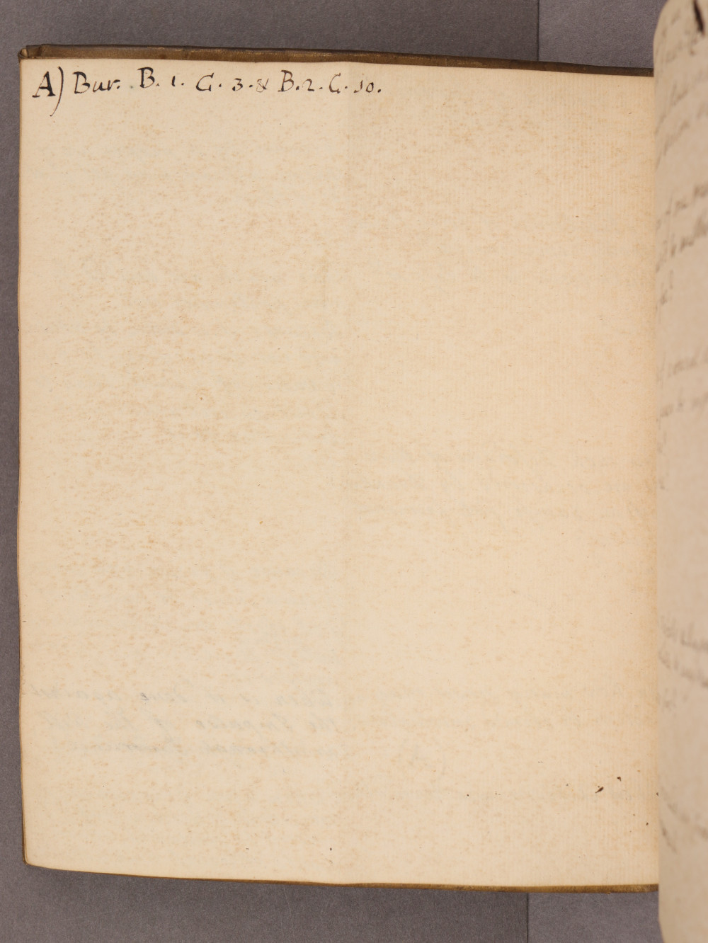 Folio 11 verso