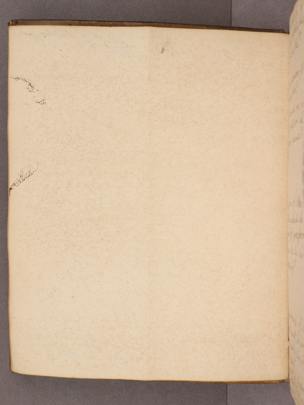 Folio 12 verso
