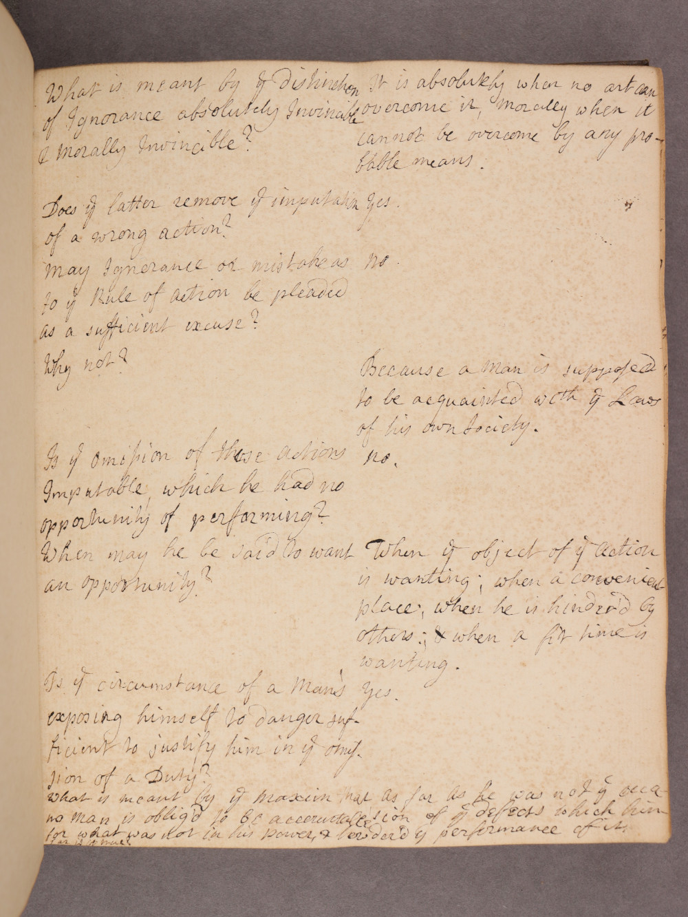 Folio 13 recto