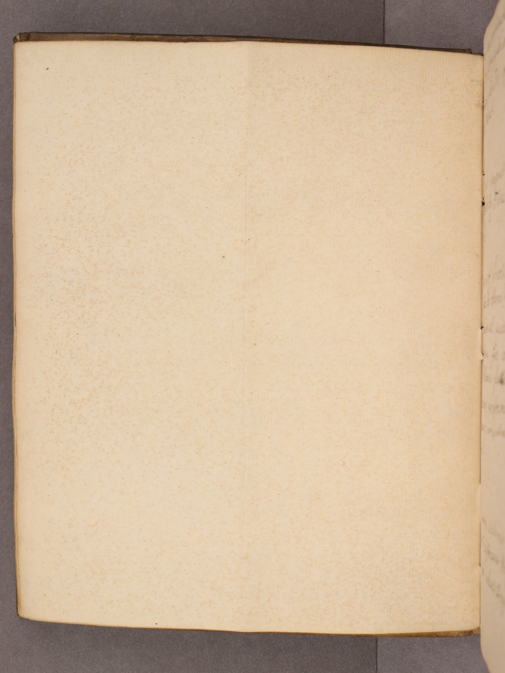 Folio 13 verso