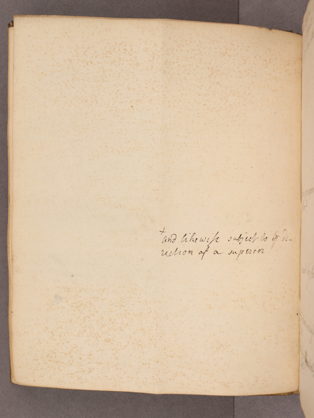 Folio 15 verso