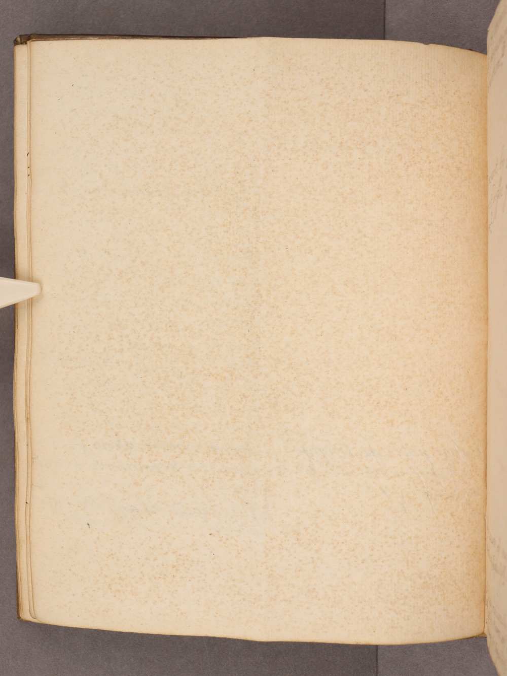 Folio 17 verso