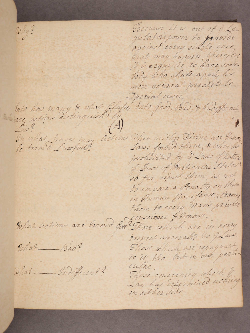 Folio 19 recto