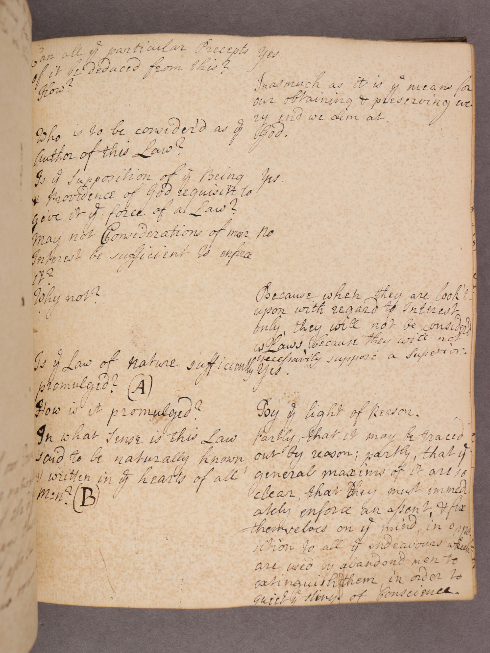 Folio 23 recto