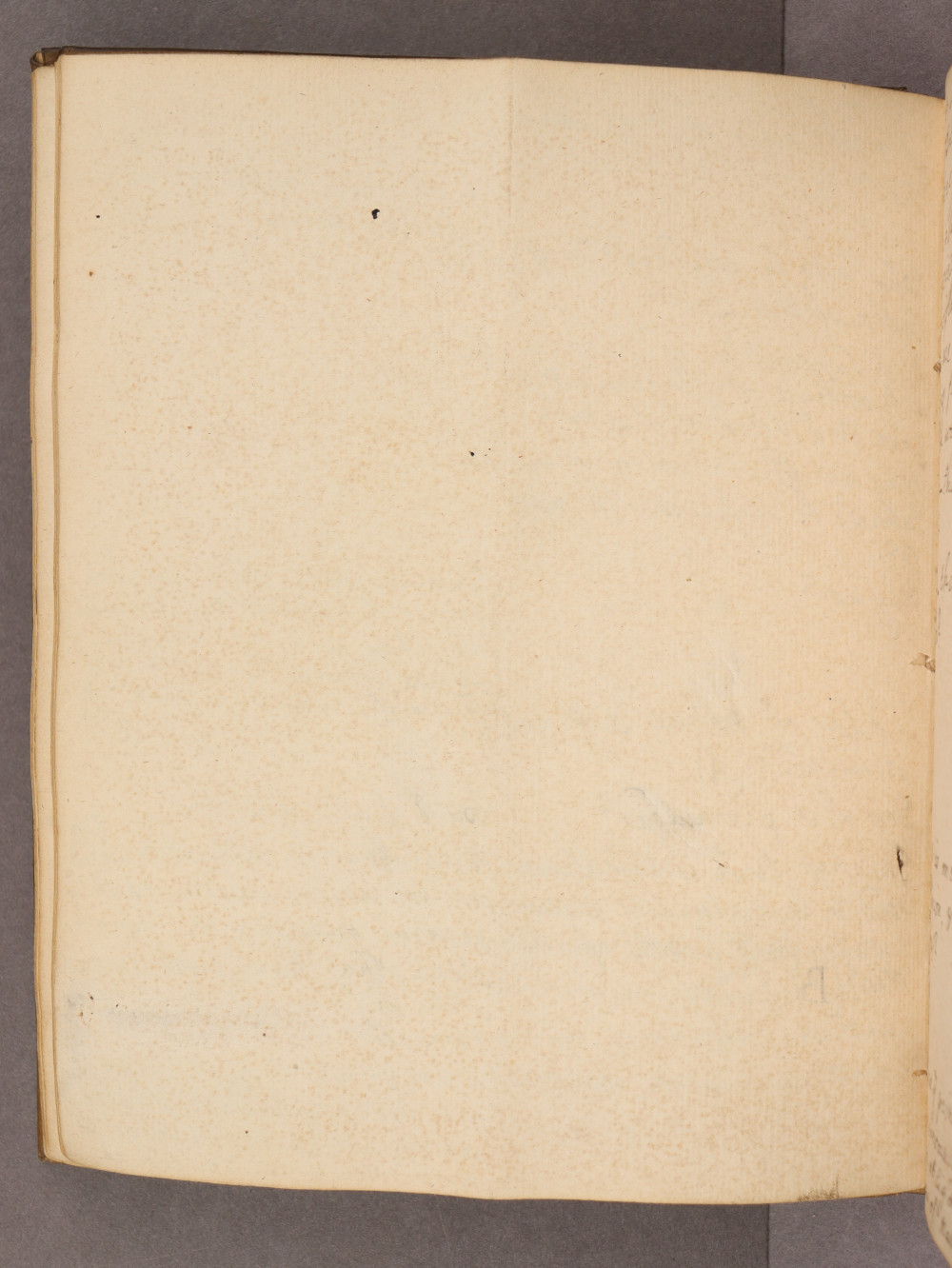 Folio 23 verso