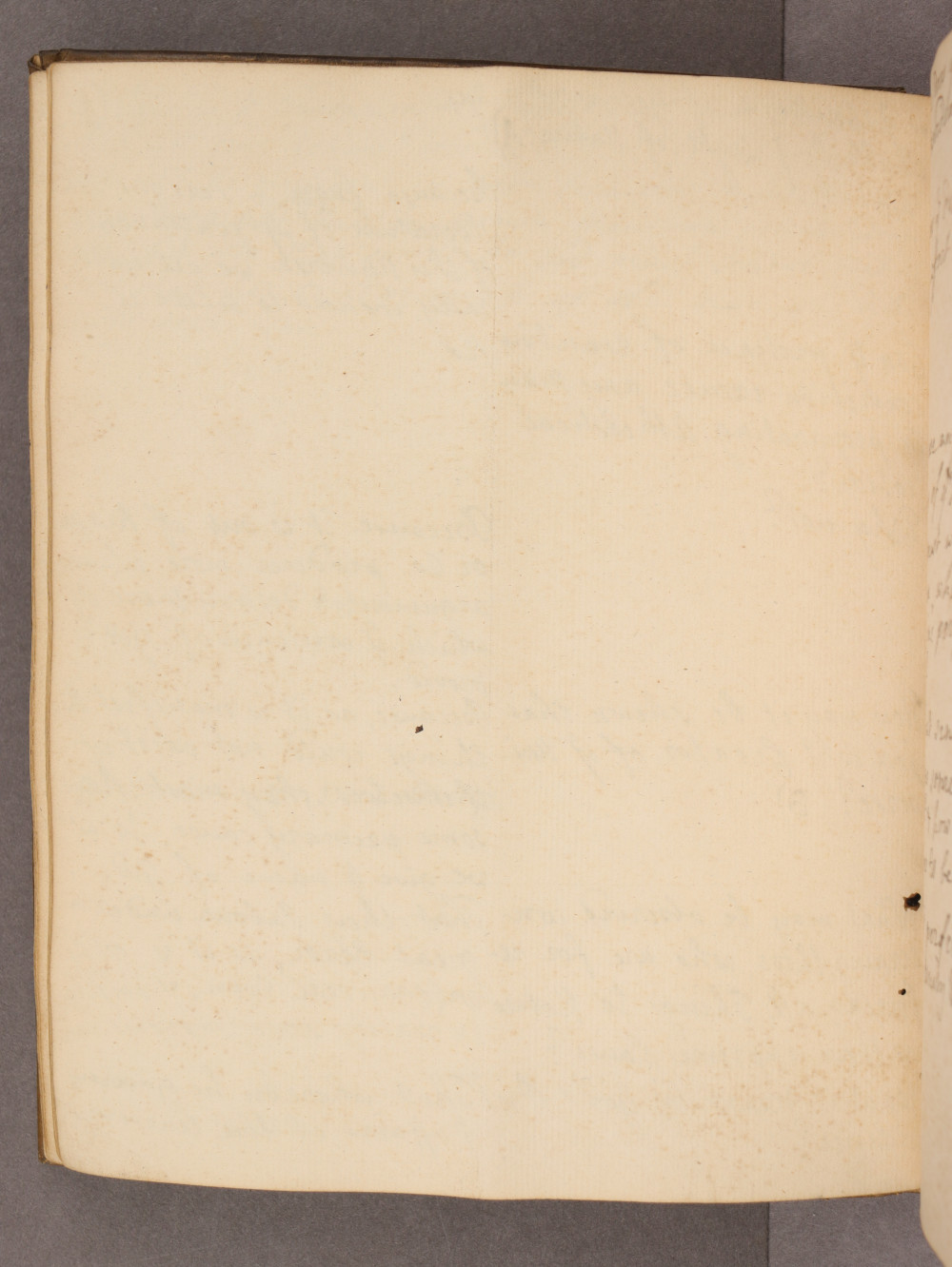 Folio 25 verso