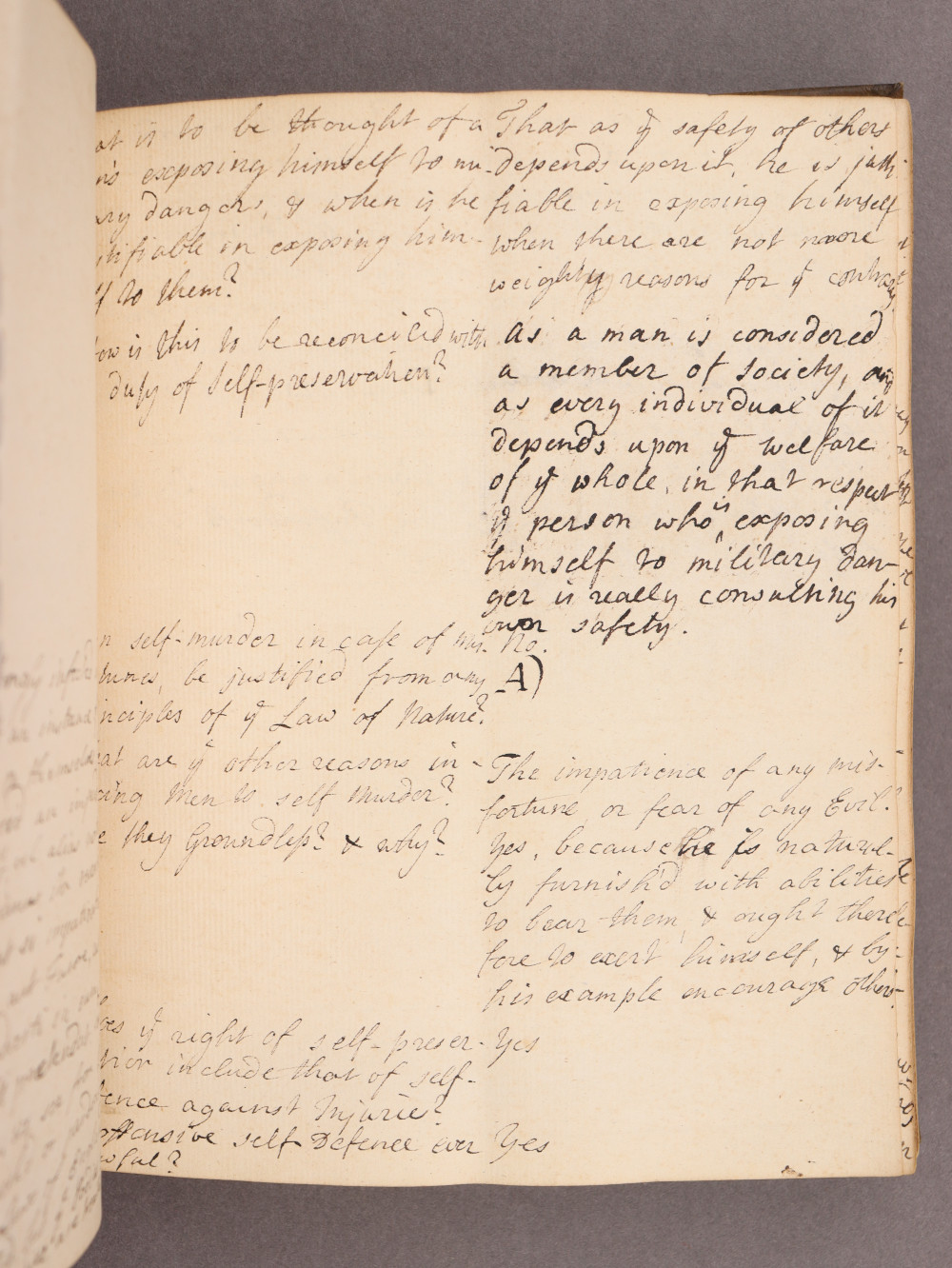 Folio 31 recto