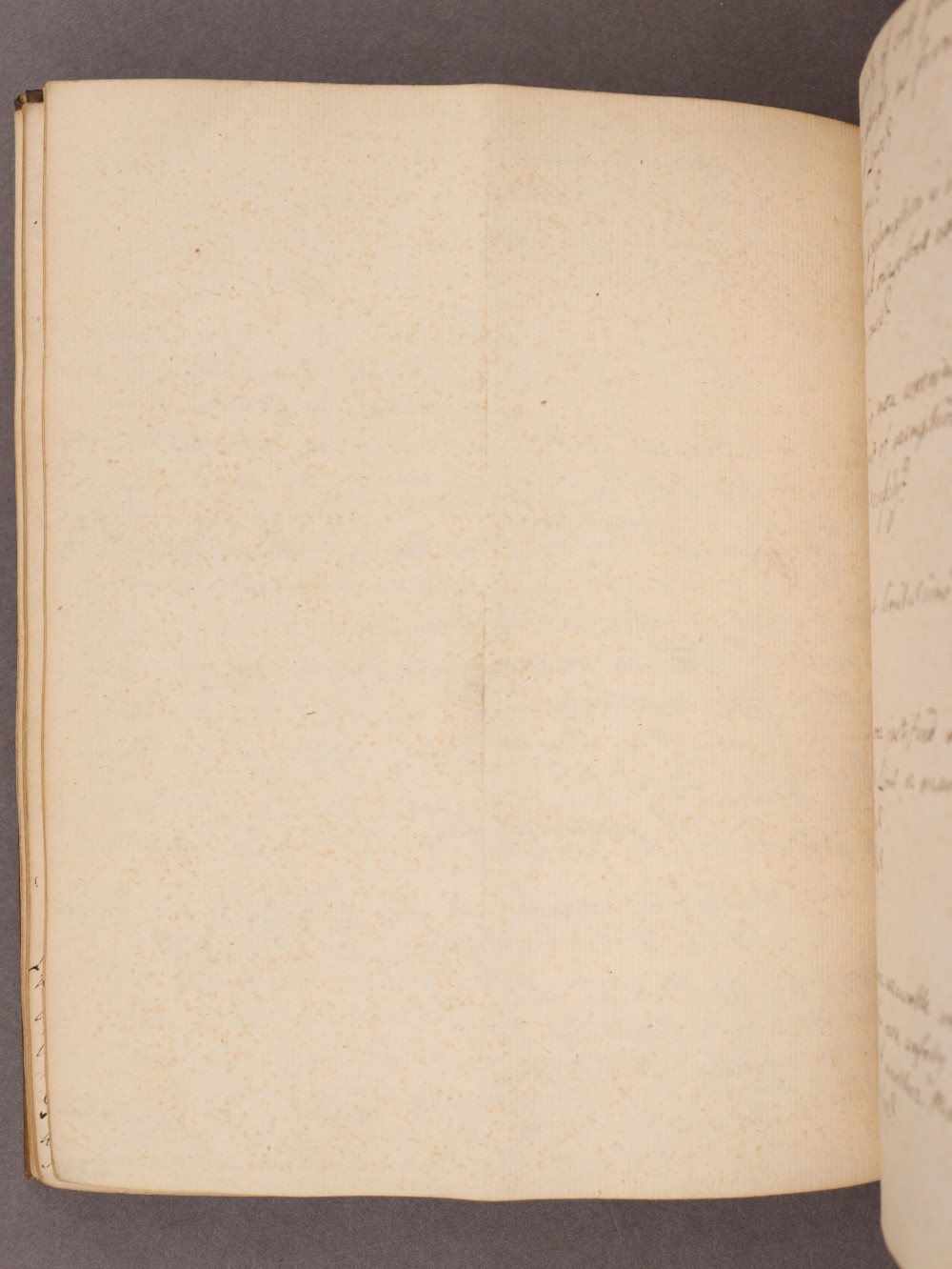 Folio 36 verso