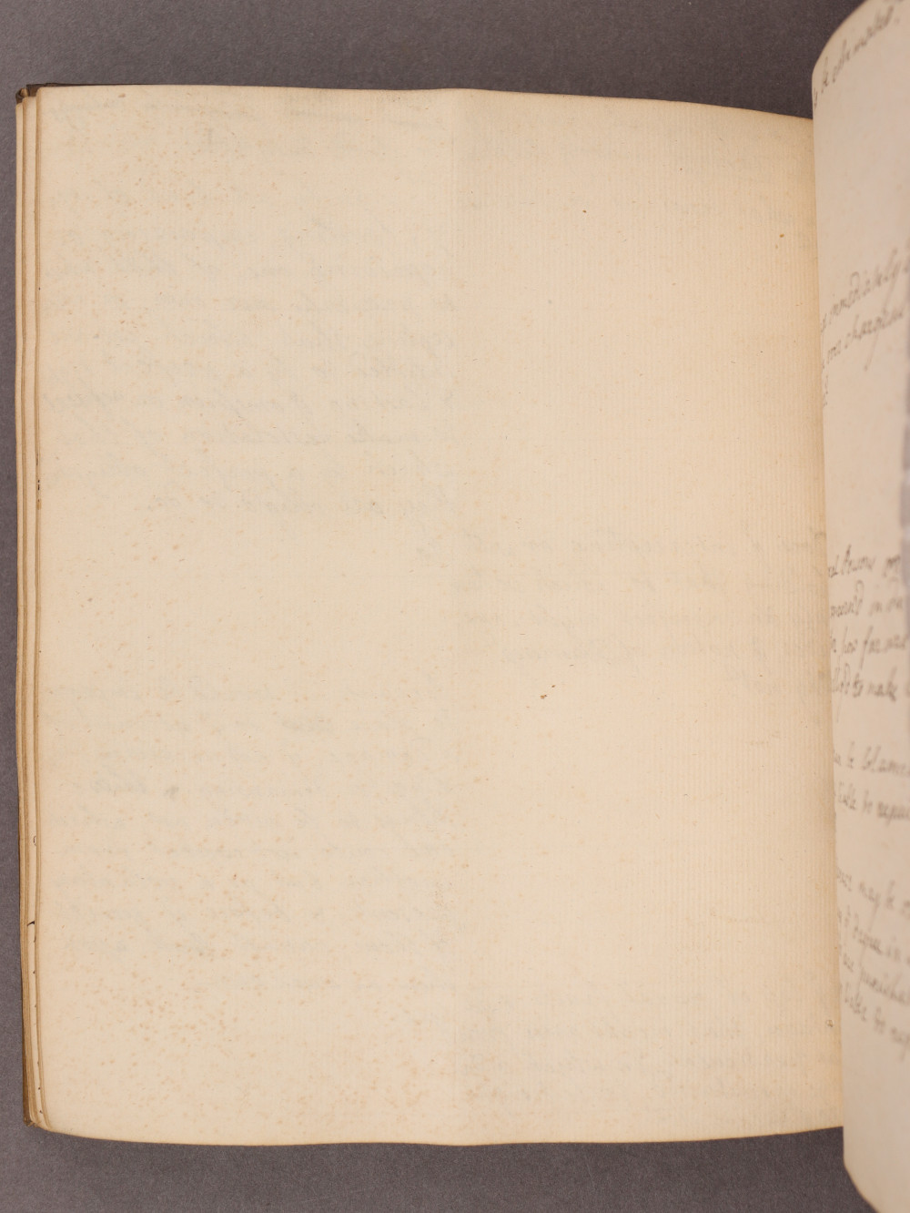 Folio 40 verso