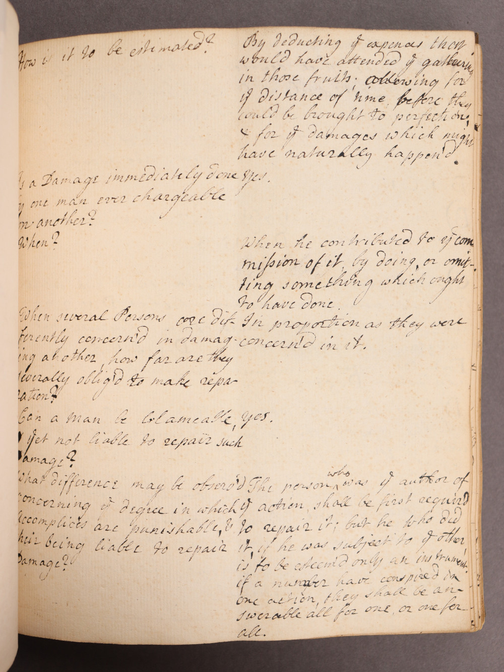 Folio 41 recto