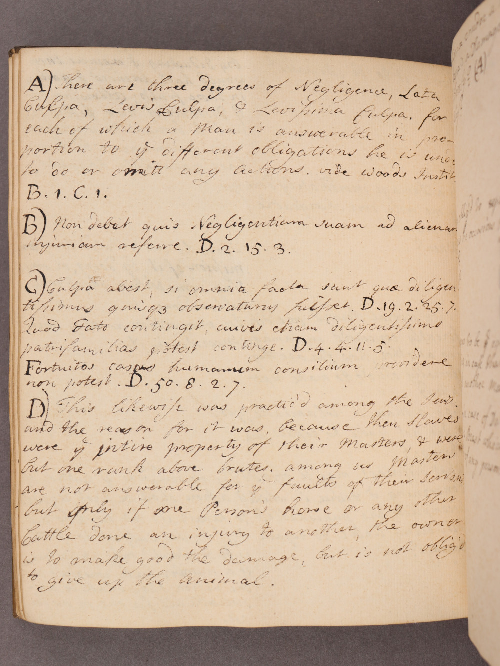 Folio 41 verso