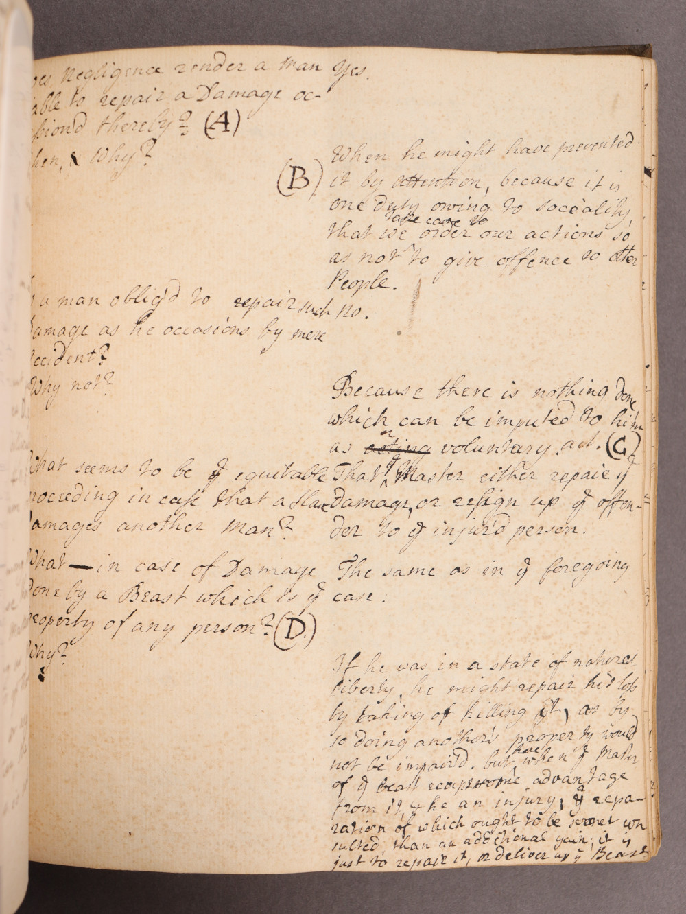 Folio 42 recto