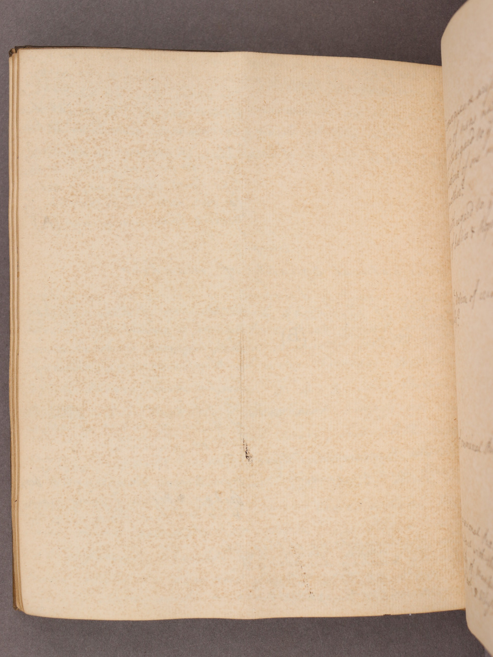 Folio 43 verso