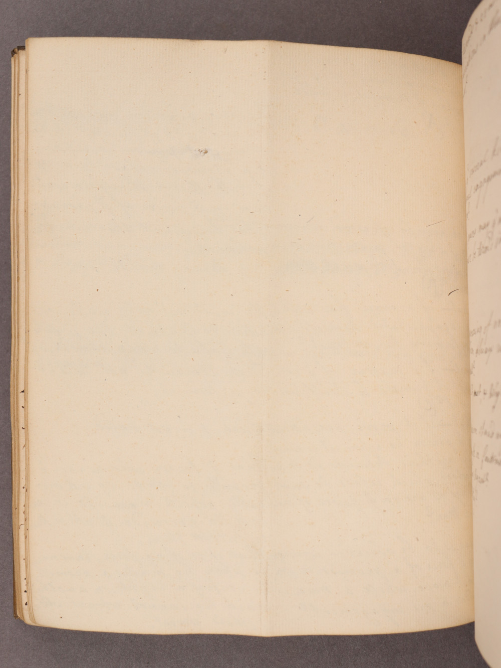 Folio 51 verso
