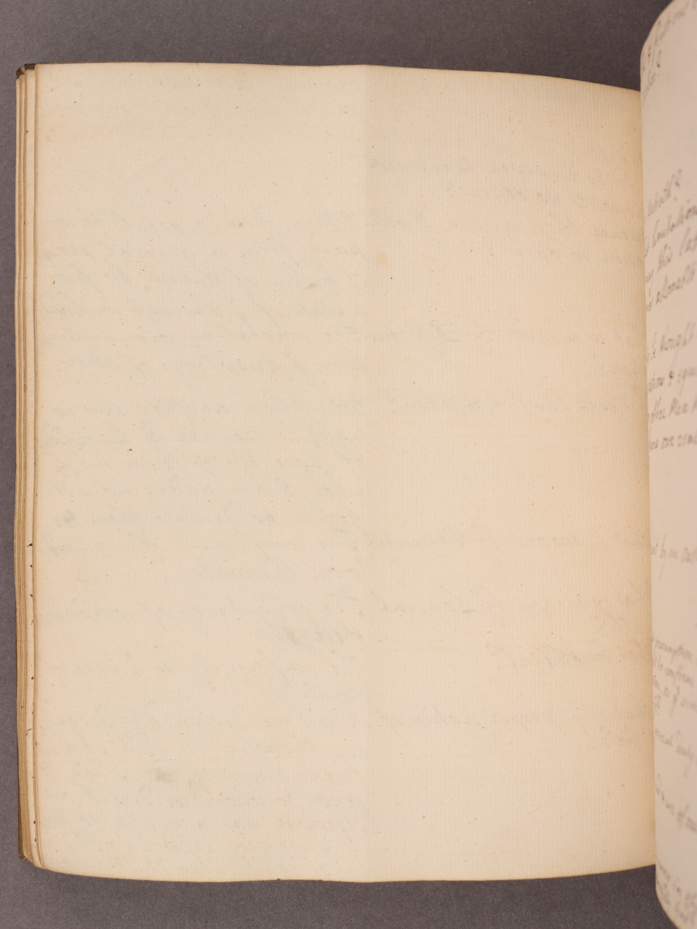 Folio 54 verso