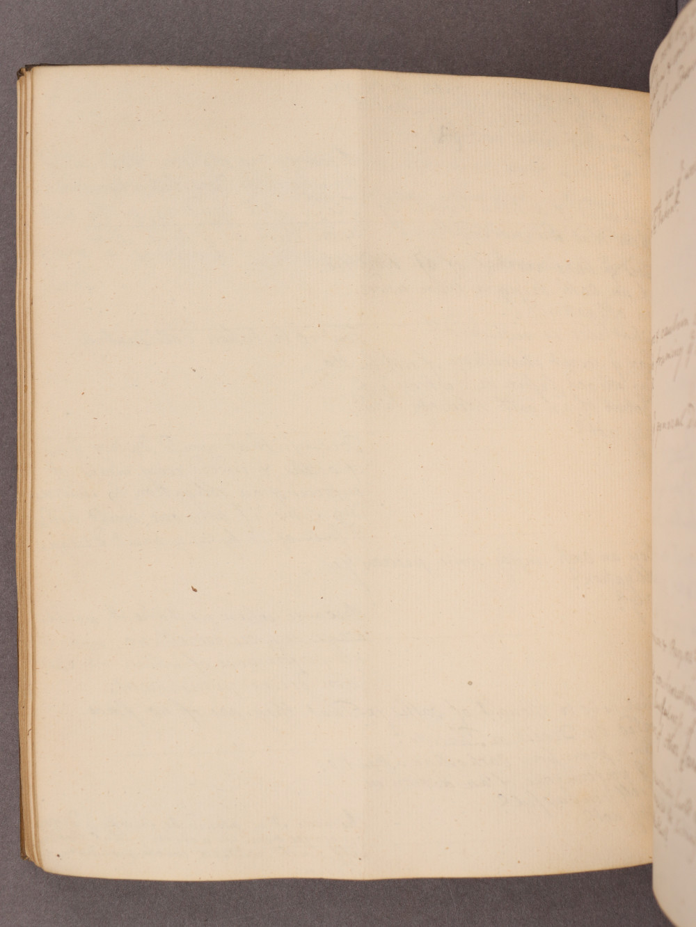 Folio 56 verso