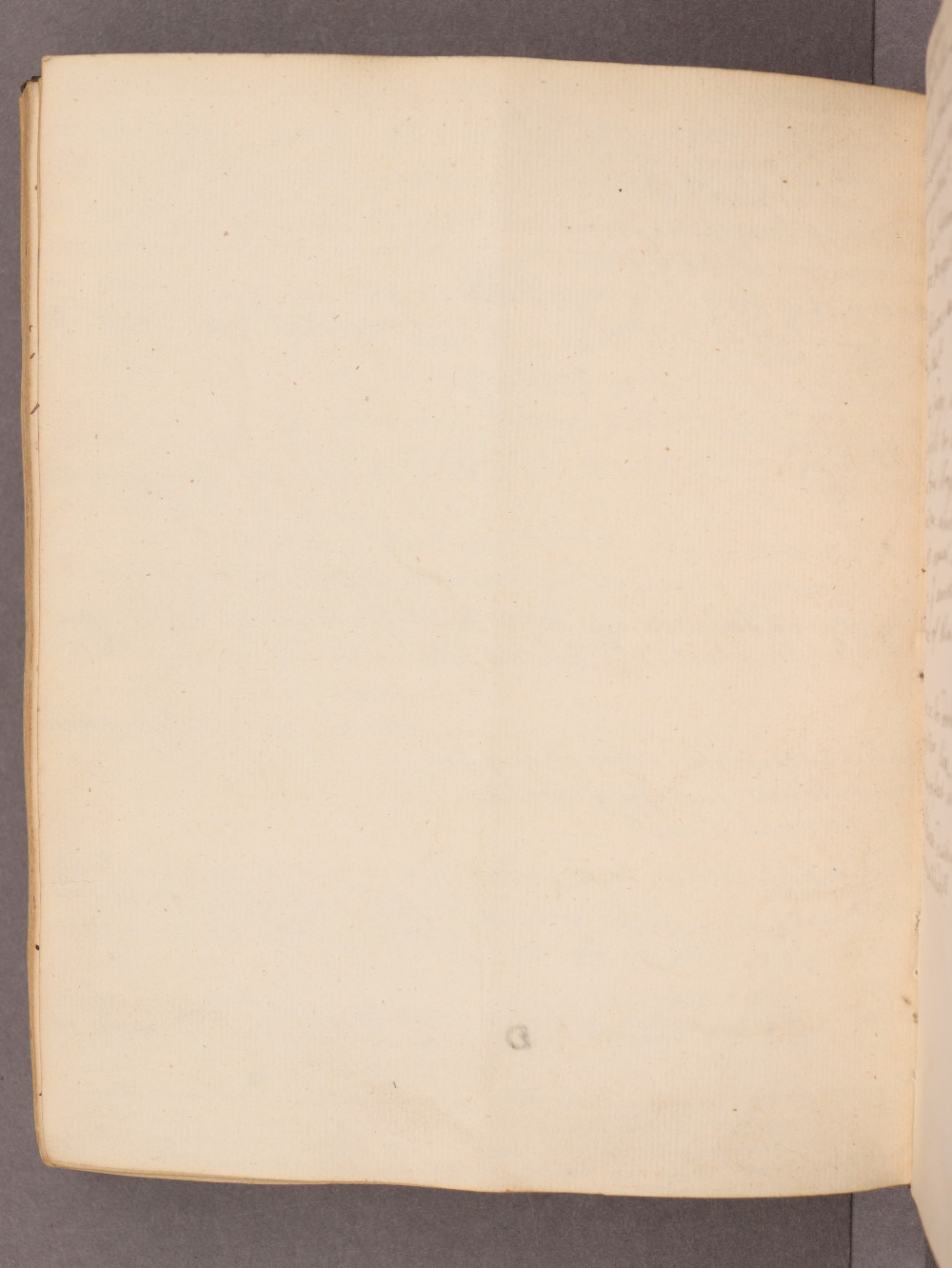 Folio 81 verso