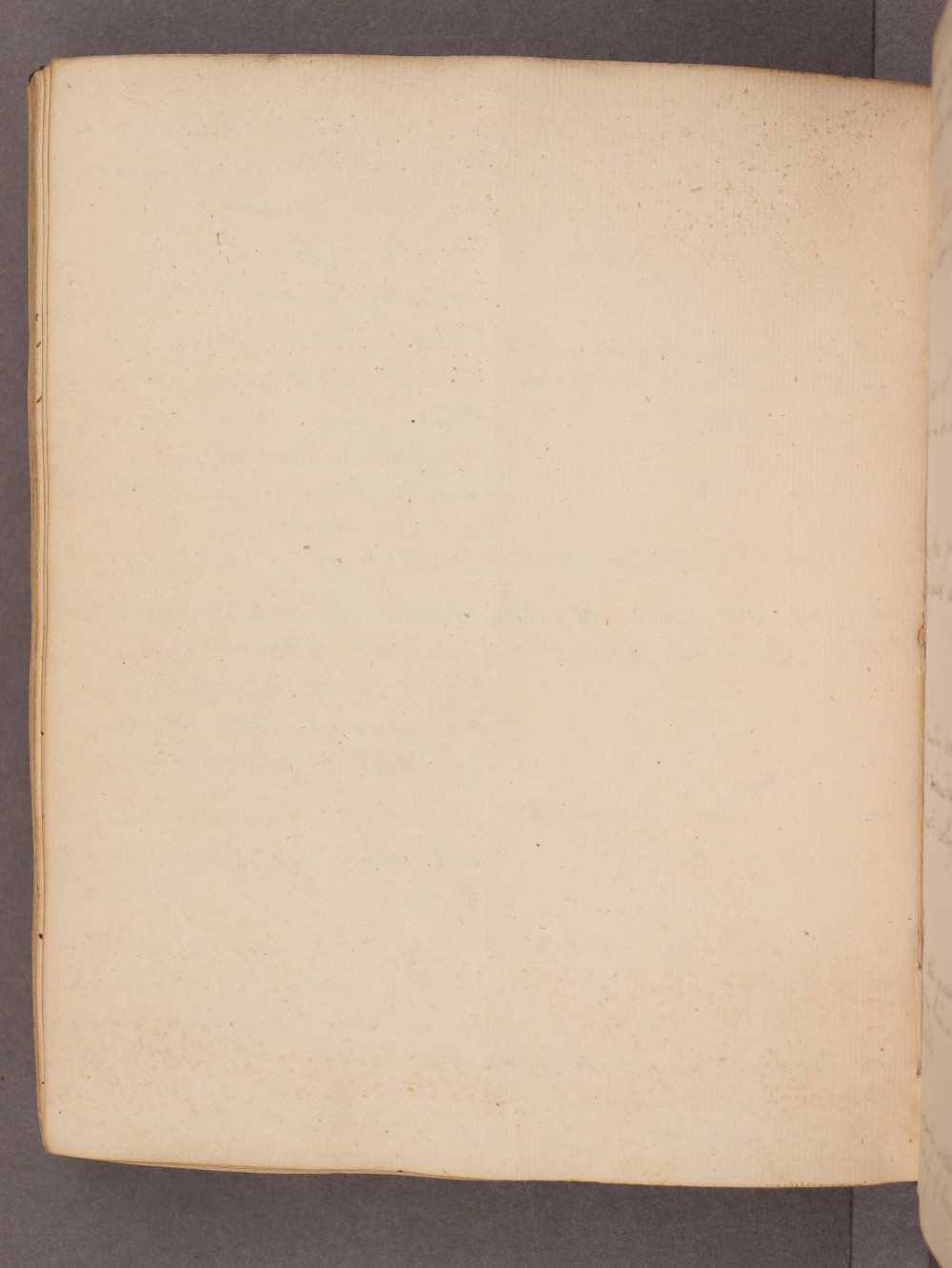 Folio 84 verso