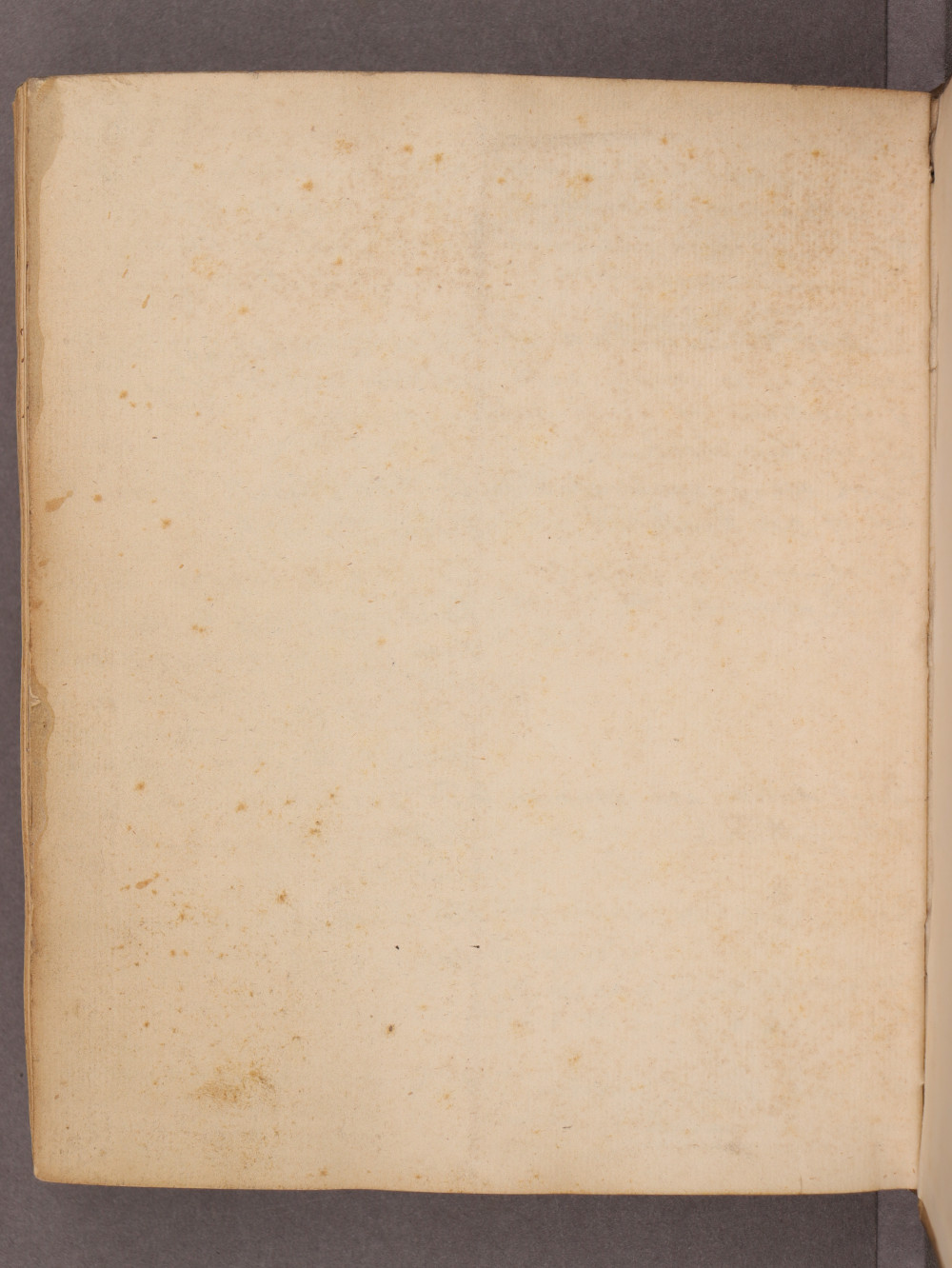 Folio 89 verso