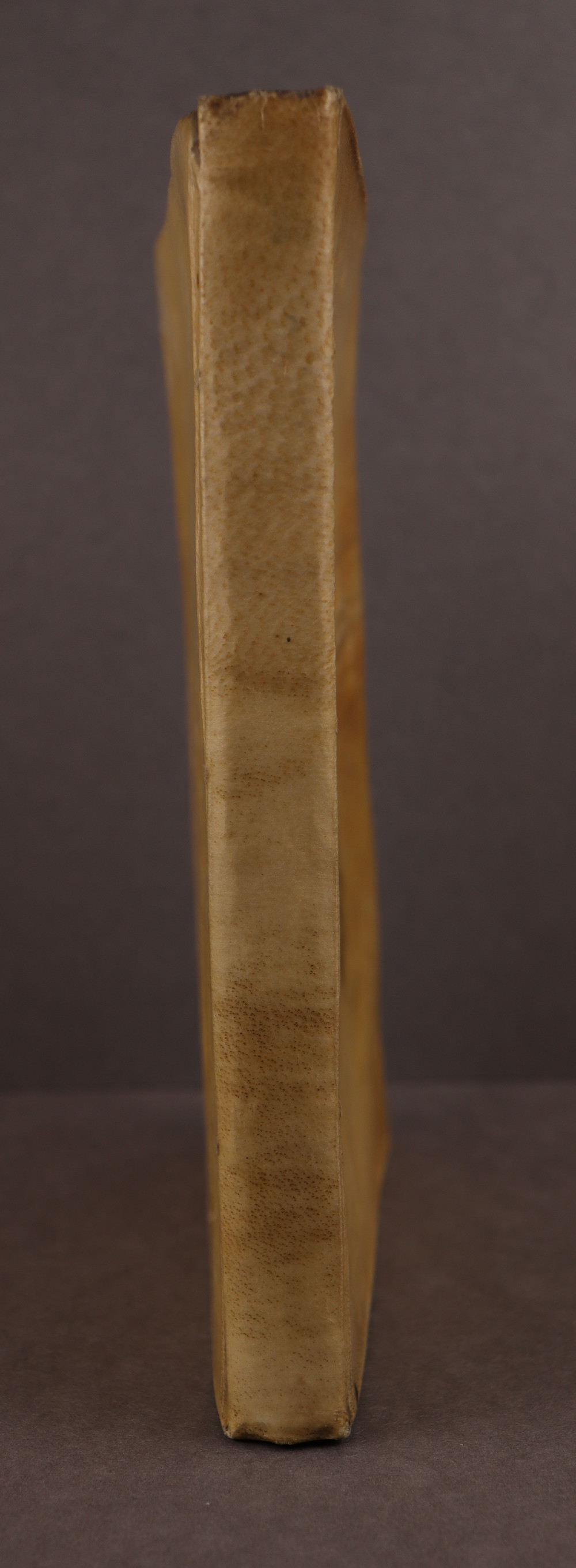 Spine