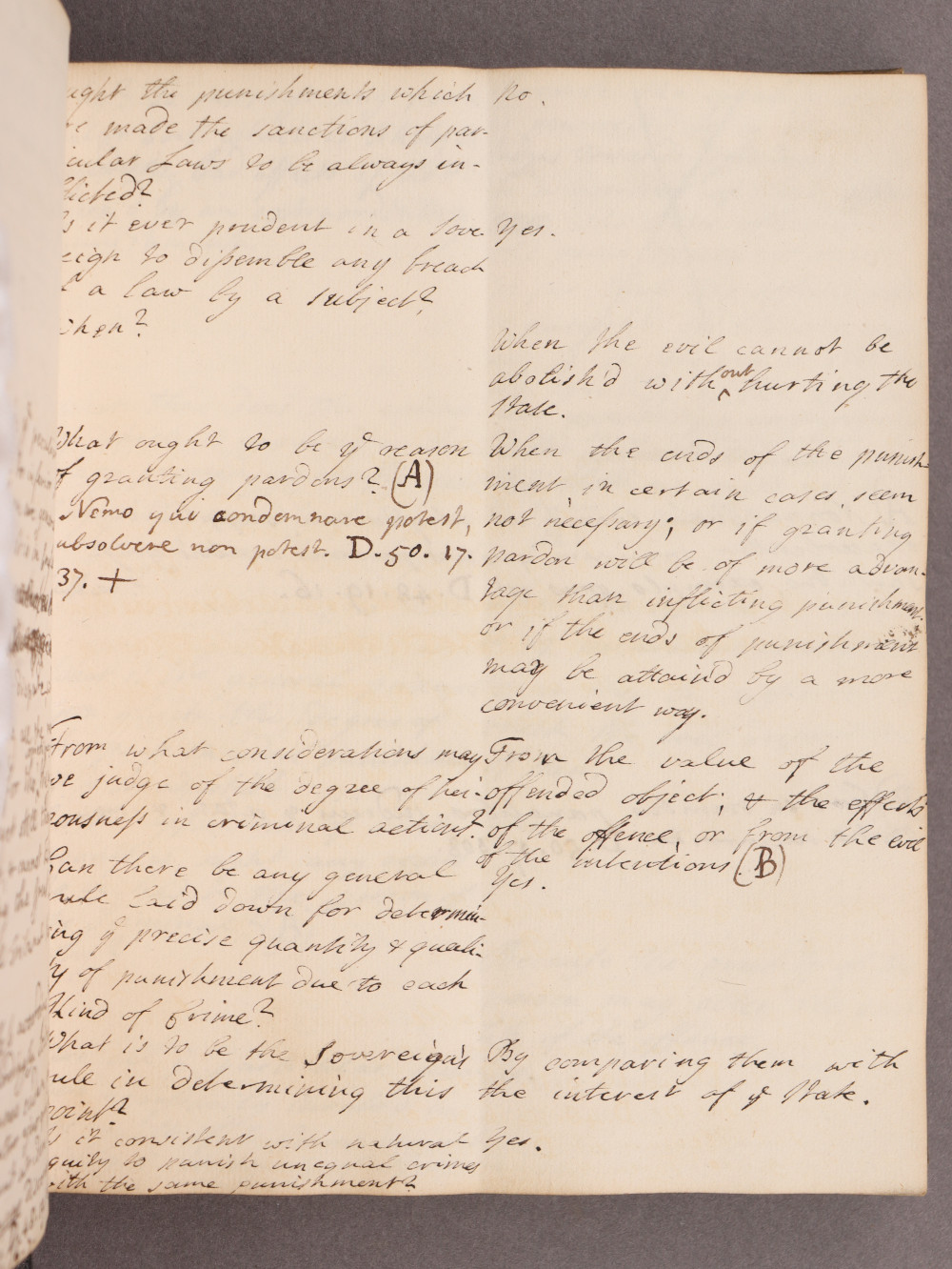 Folio 31 recto