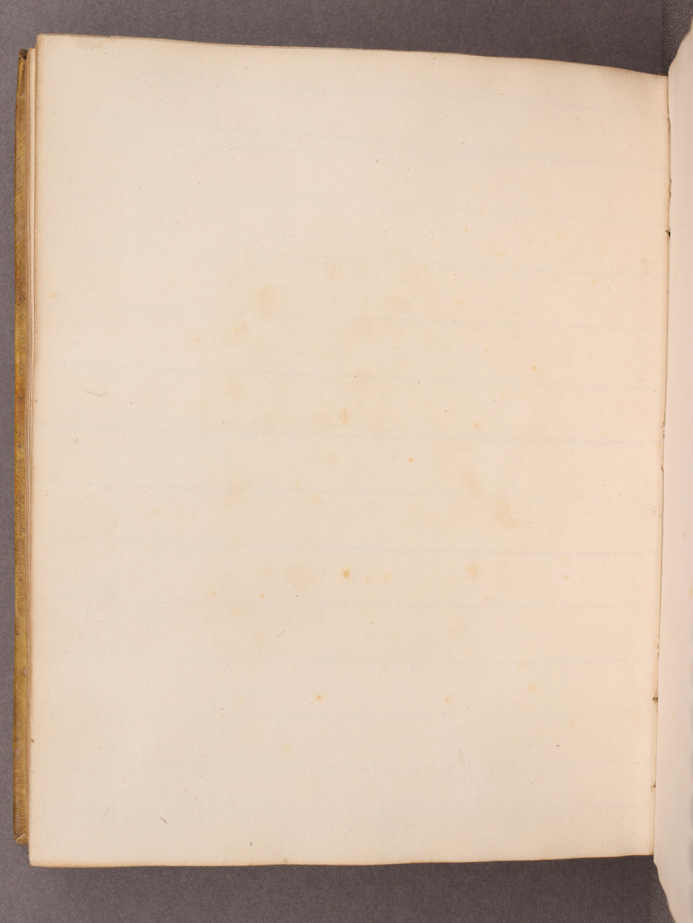 Folio 85 verso
