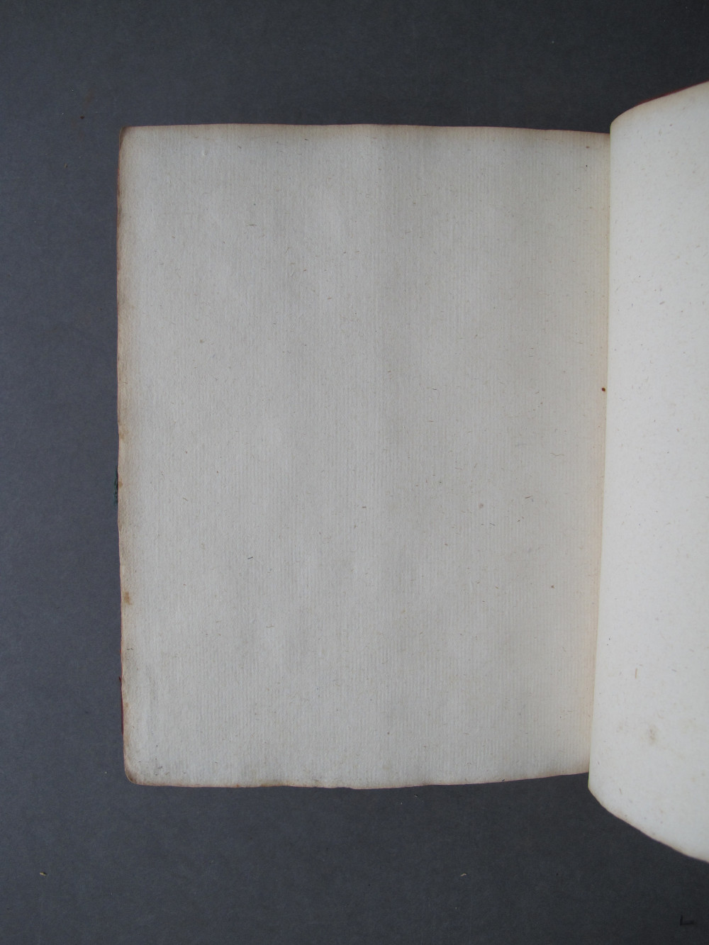 Folio 392 verso