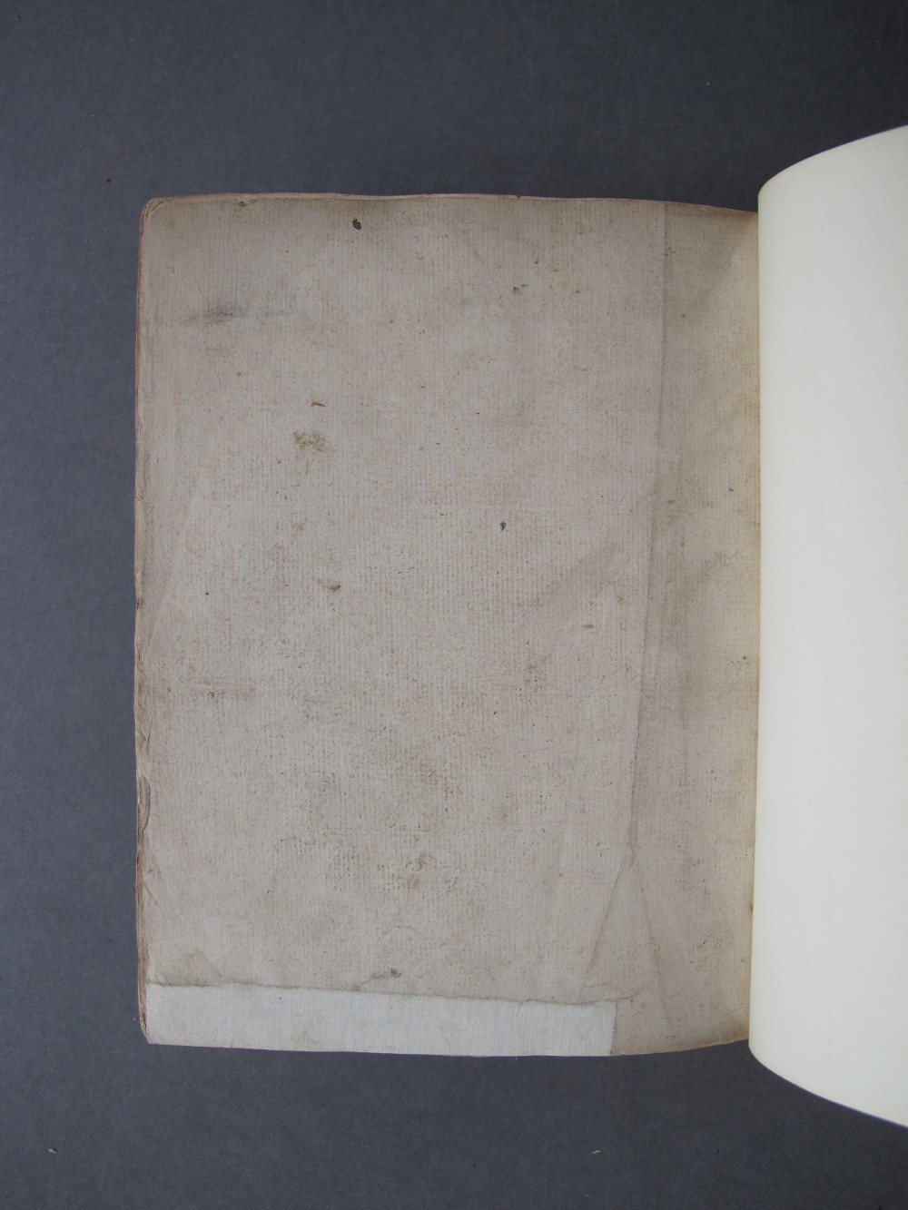 Folio 412 verso