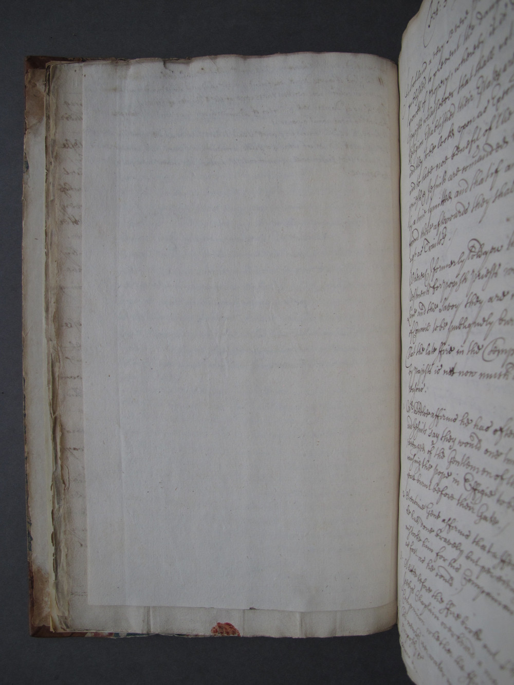 Folio 13 verso