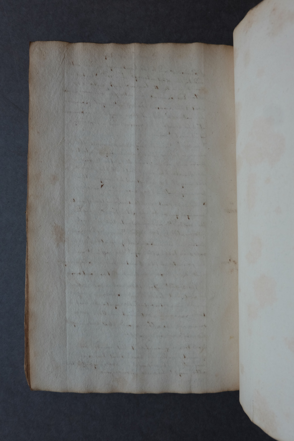 Folio 76 verso