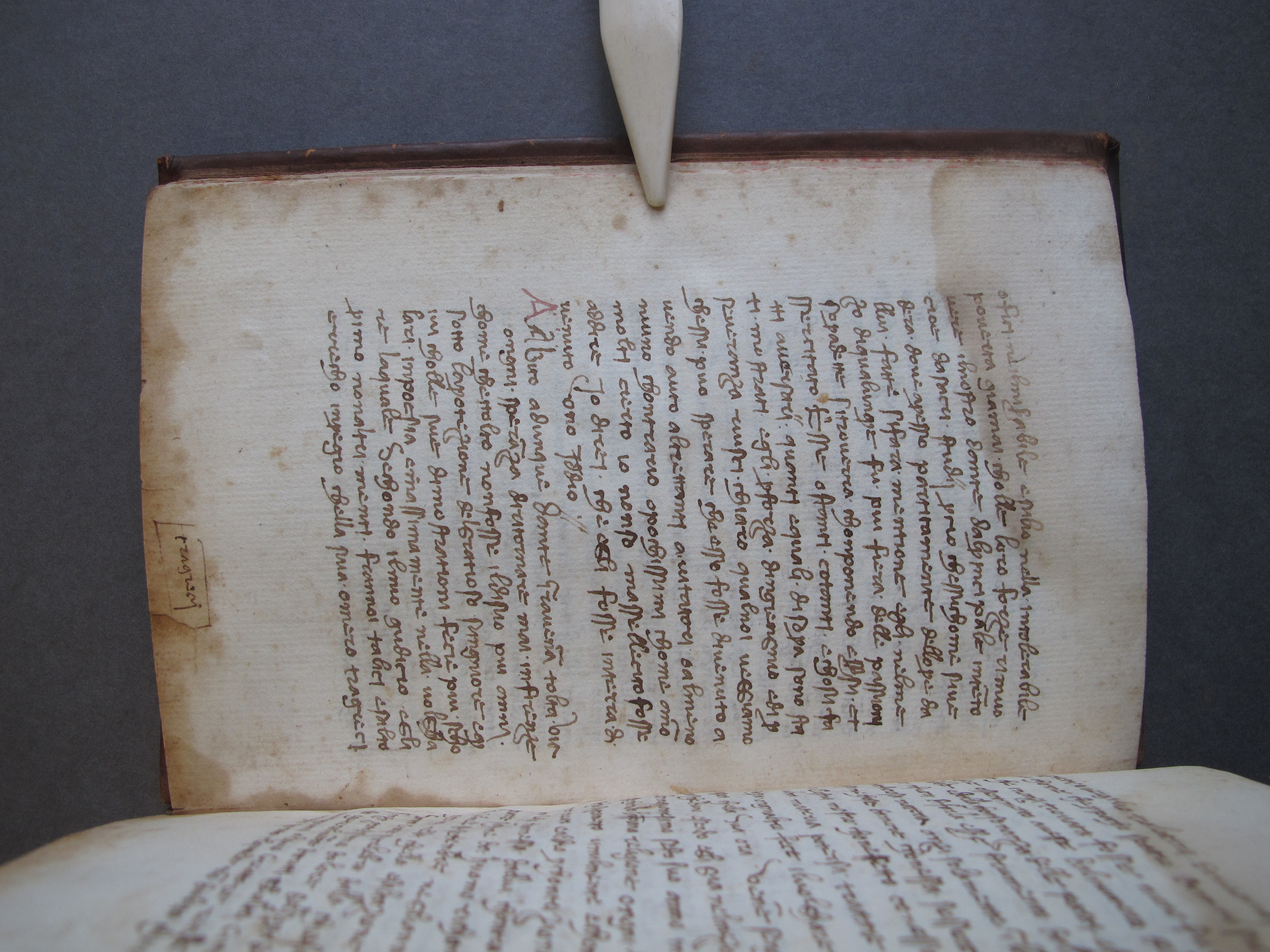 Folio 20 verso