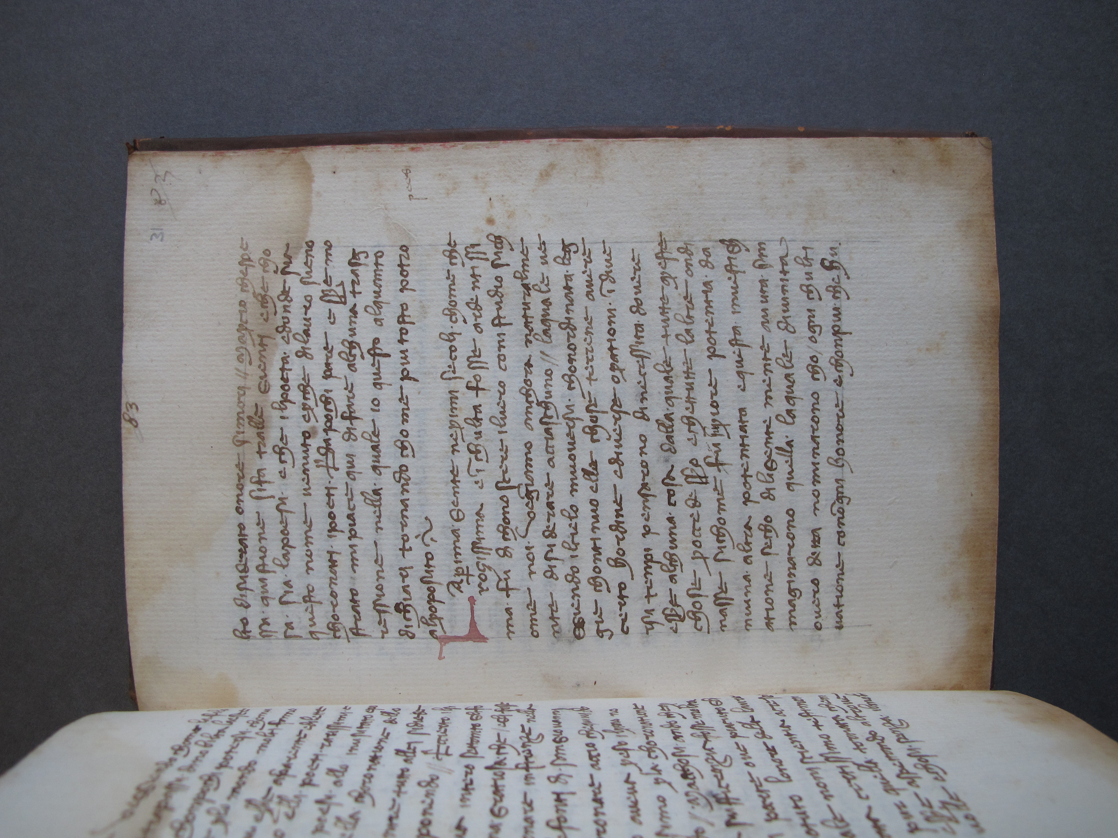Folio 31 recto