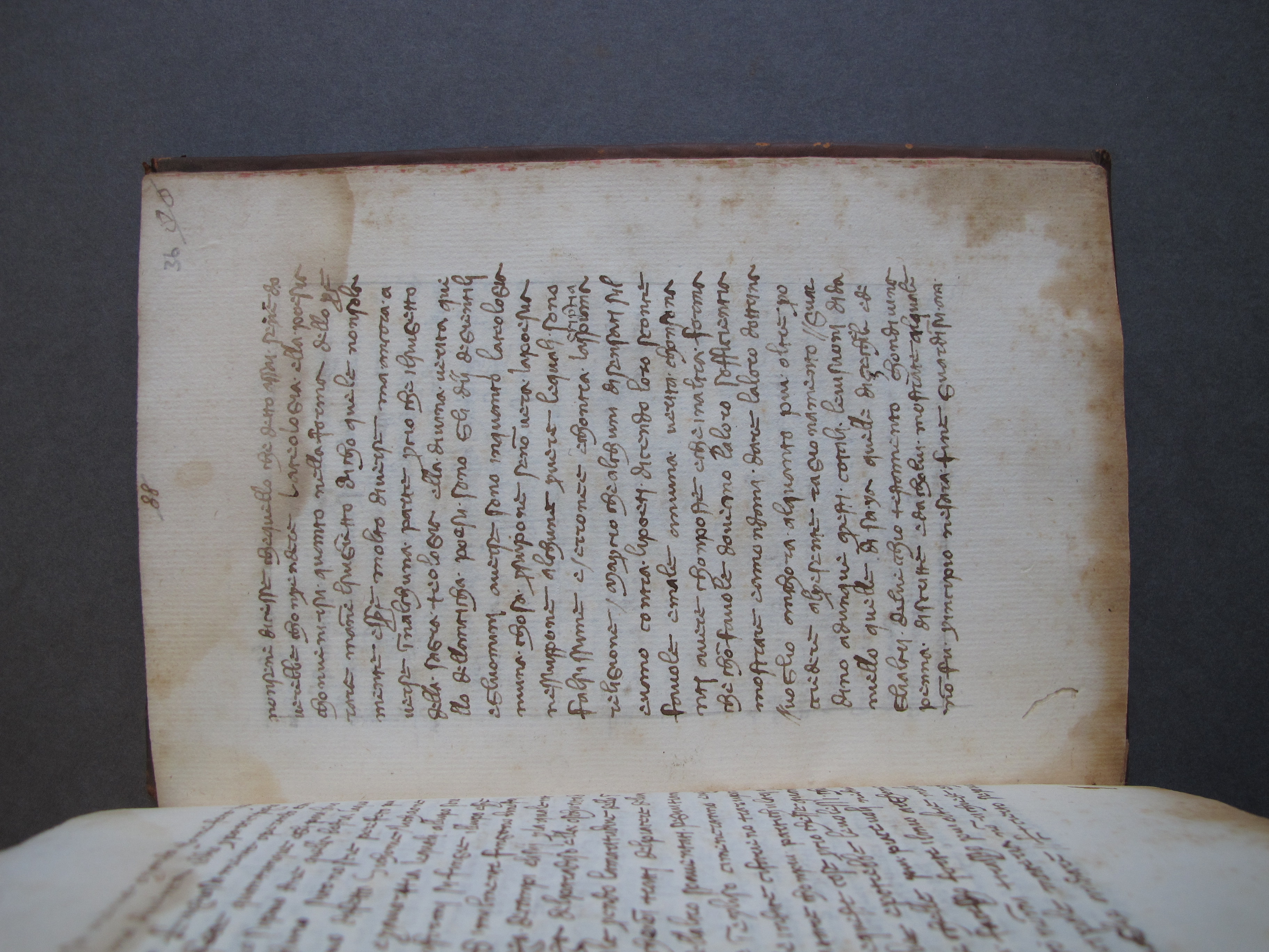 Folio 36 recto