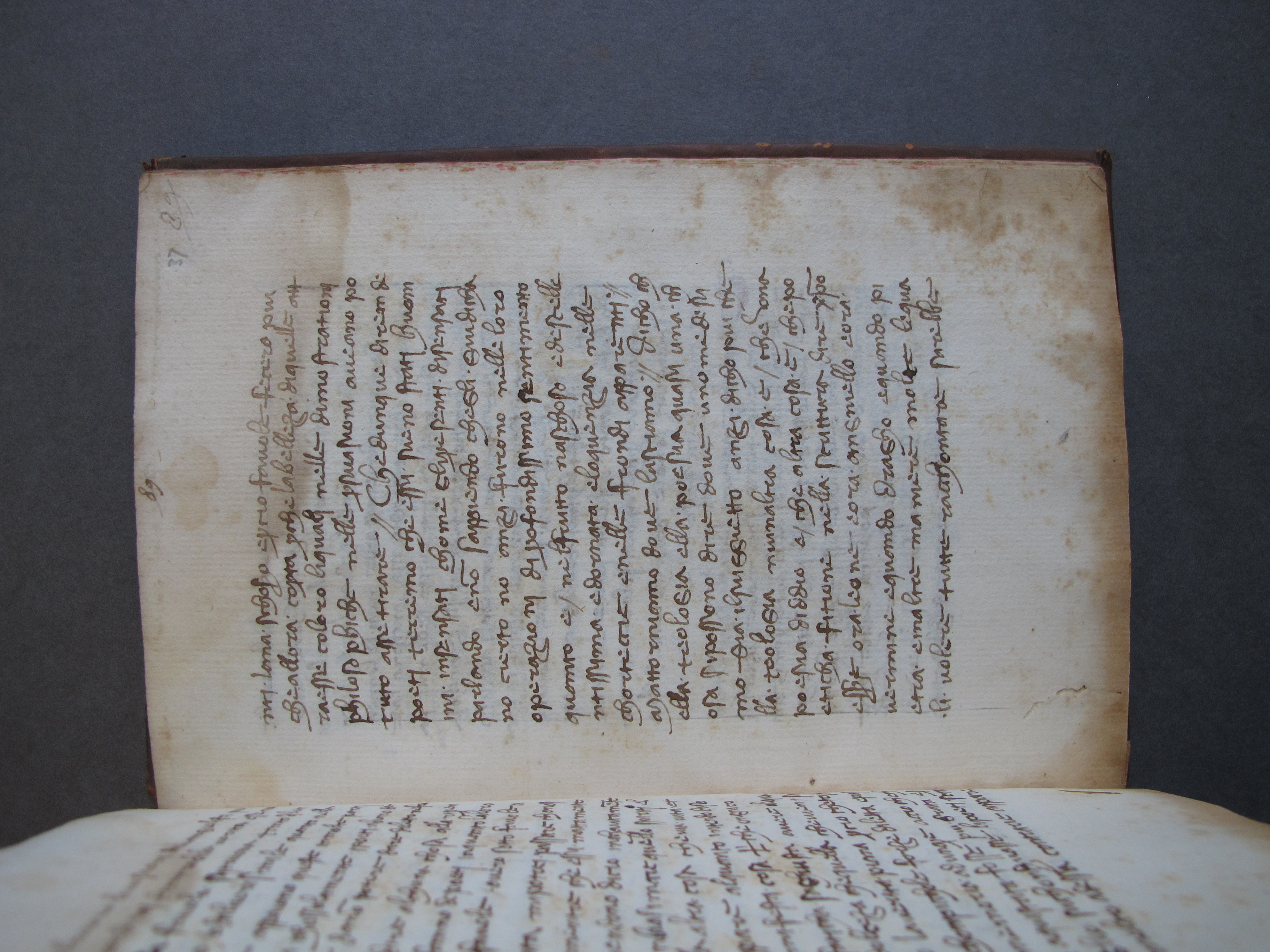 Folio 37 recto