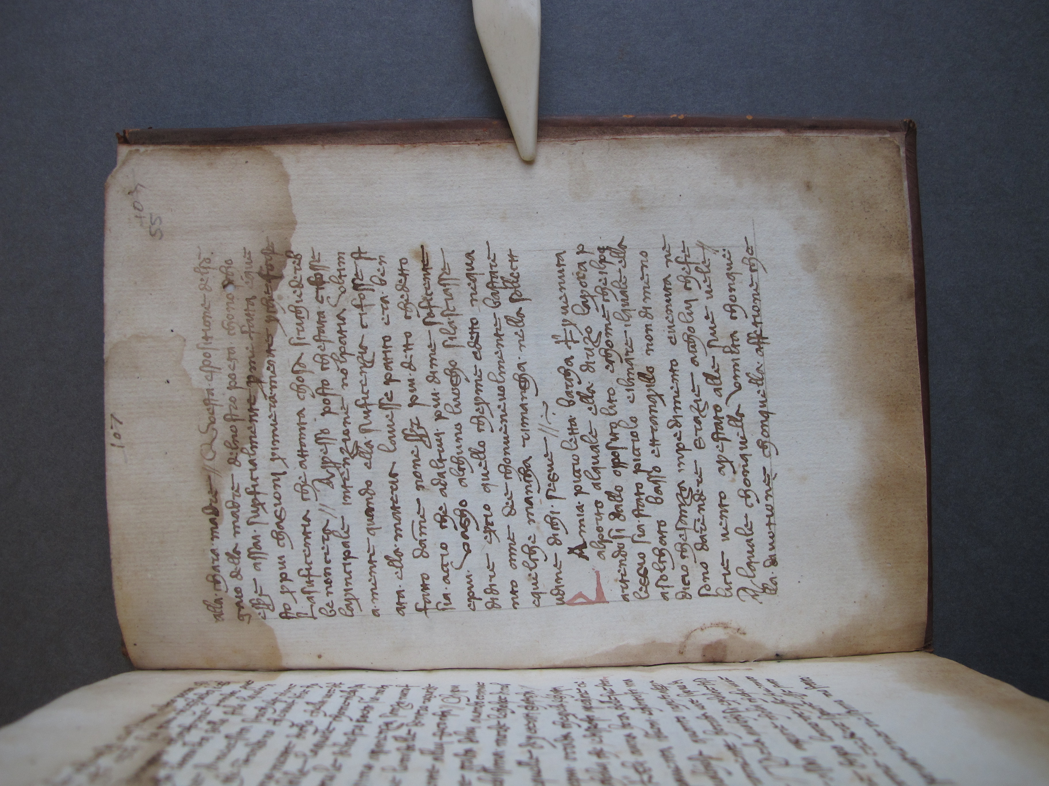 Folio 55 recto