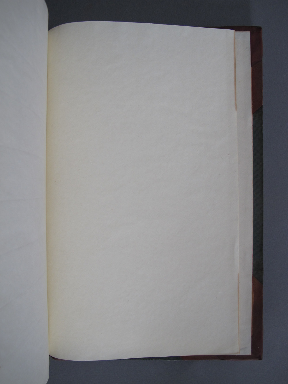 Folio 251 recto