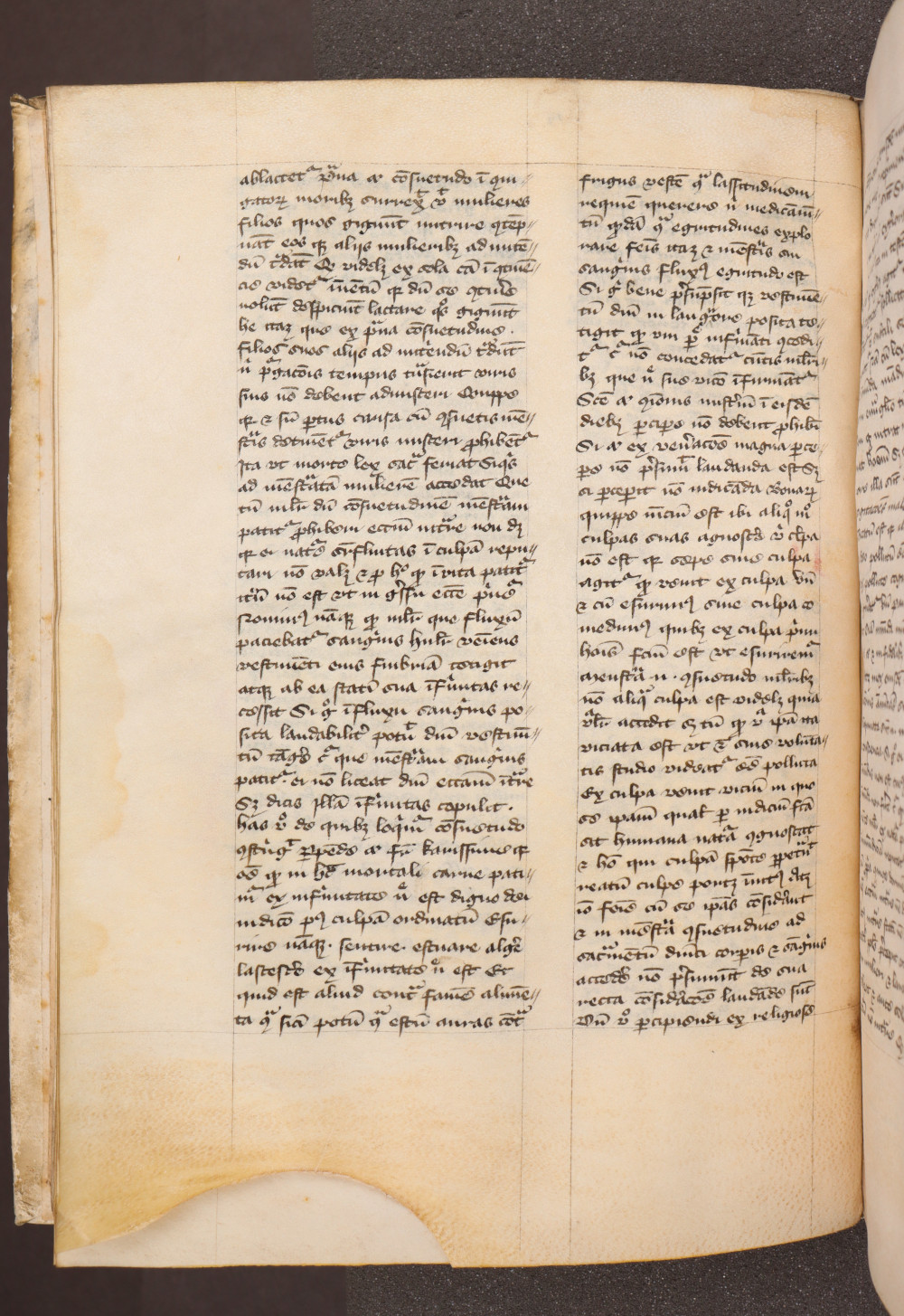 Folio 15  verso