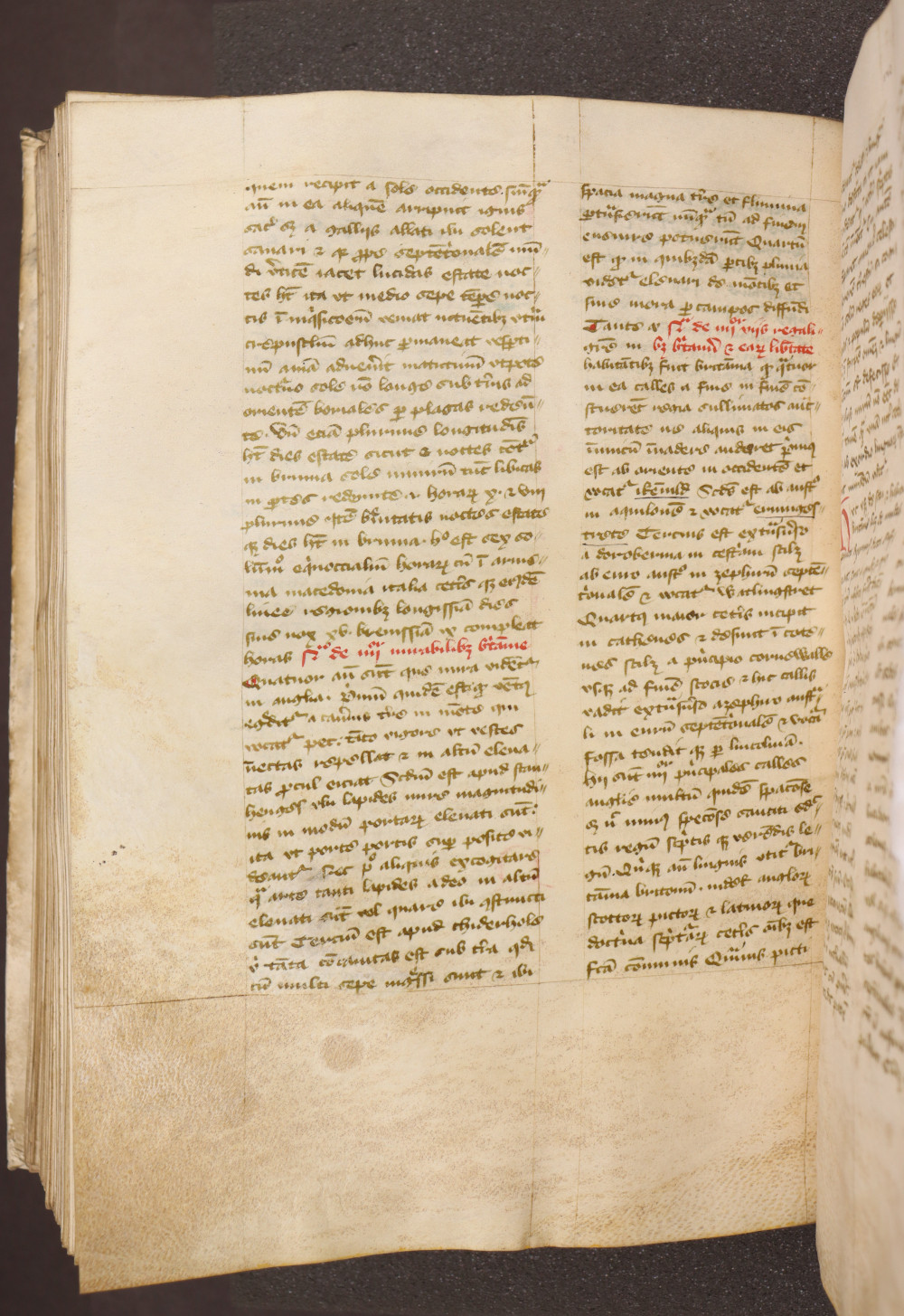 Folio 117  verso