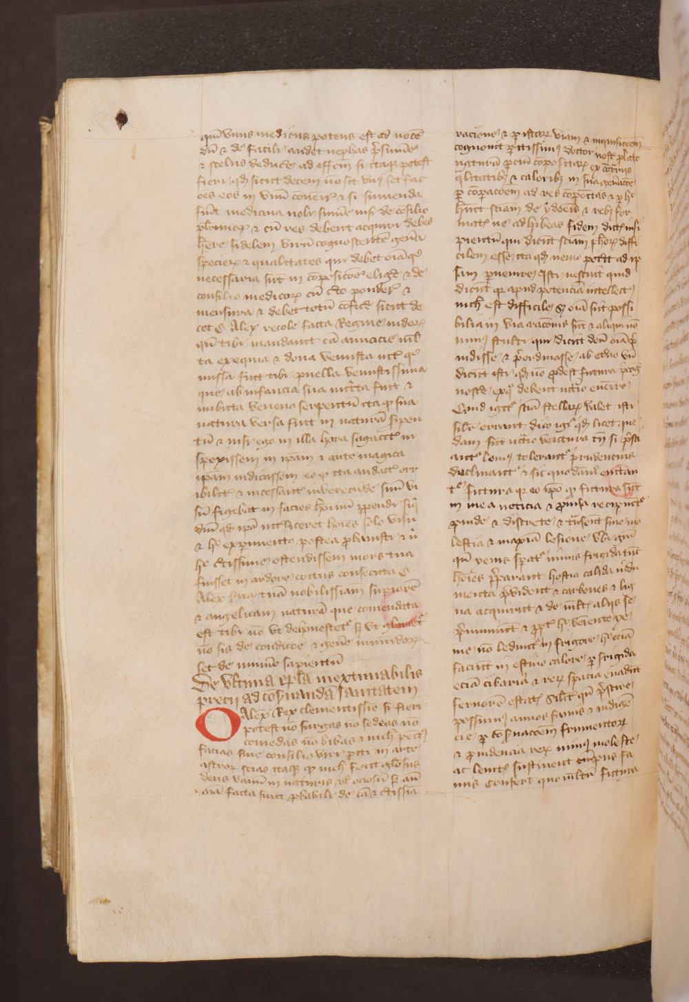Folio 207  verso
